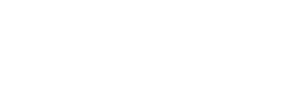 Plastimedia Studio Logo